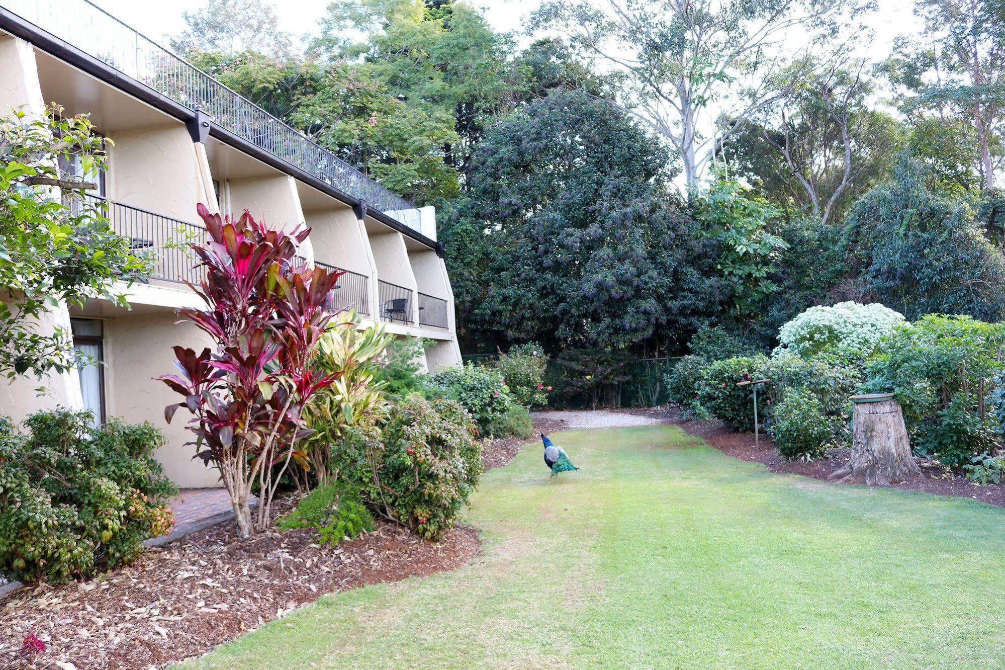 The Tamborine - Boutique Hotel Tamborine Mountain Exterior photo